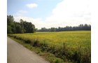 Property photo 4 - 133+/- Acres Offered in 4 Tracts - Farmland, Hunting & Recreation or Future Building Sites